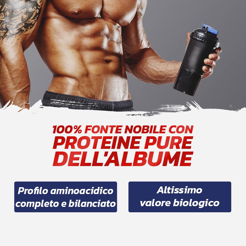 PROLABS EGG PROTEIN- Proteine in Polvere Isolate 100% Pure da Bianco d'Uovo non Denaturate con Bromelina per Alta Digeribilità e Rapido Assorbimento Post Workout, Integratore da Albume 750g Cioccolato