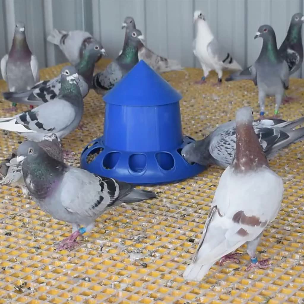 Feeder No Waste - Distributore automatico per pollame da appendere