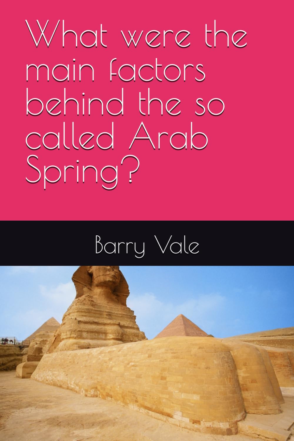 What were the main factors behind the so called Arab Spring?