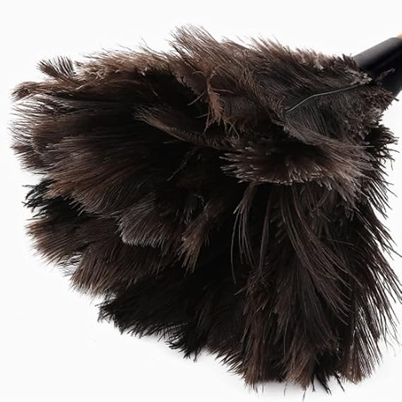 Ostrich Feather Duster, Household Dust Removal Tool with Wooden Handle, Quality Genuine Ostrich Feather Duster. (short (12.6 inch))