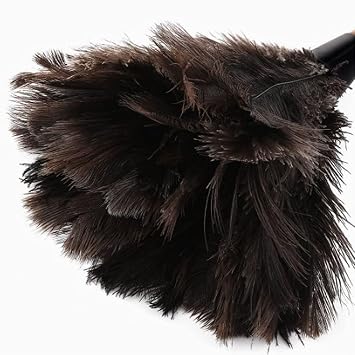 Ostrich Feather Duster, Household Dust Removal Tool with Wooden Handle, Quality Genuine Ostrich Feather Duster. (short (12.6 inch))