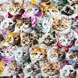 Quiltable 1 Yard (Pre-Cut) 43' x 36' (109cm x 91cm) Premium Floral Cotton Quilting Sewing Fabric, DIY Sewing Patchwork Supplies for Face mask Clothing Handmade Craft&Home Decoration (Cat 8)