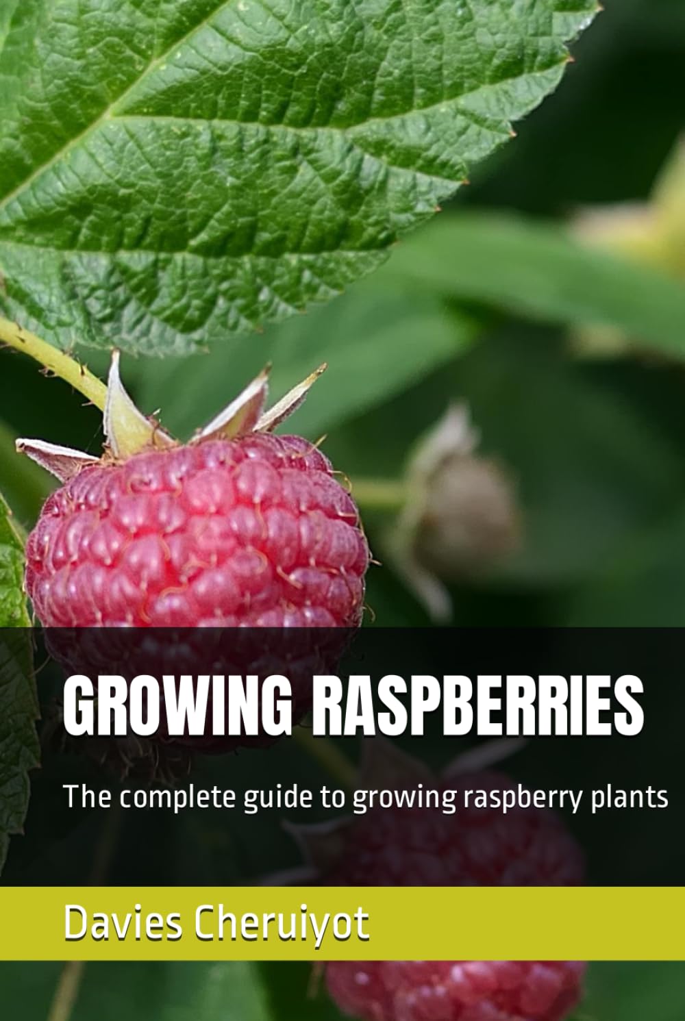 GROWING RASPBERRIES: The complete guide to growing raspberry plants (Berries farming)