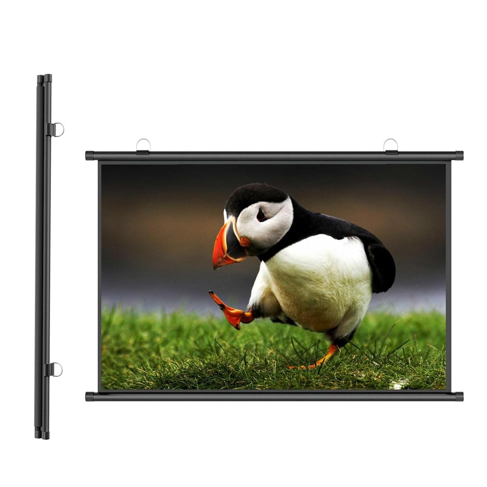 4:3, 16:9 Pieghe Home Theater Schermo di Proiezione Pieghevole，Schermo di Proiezione Avvolgibile Manuale,Home Theater Cinema Full HD, per Home Theater, Esterno E Interno, Film(4:3,60")
