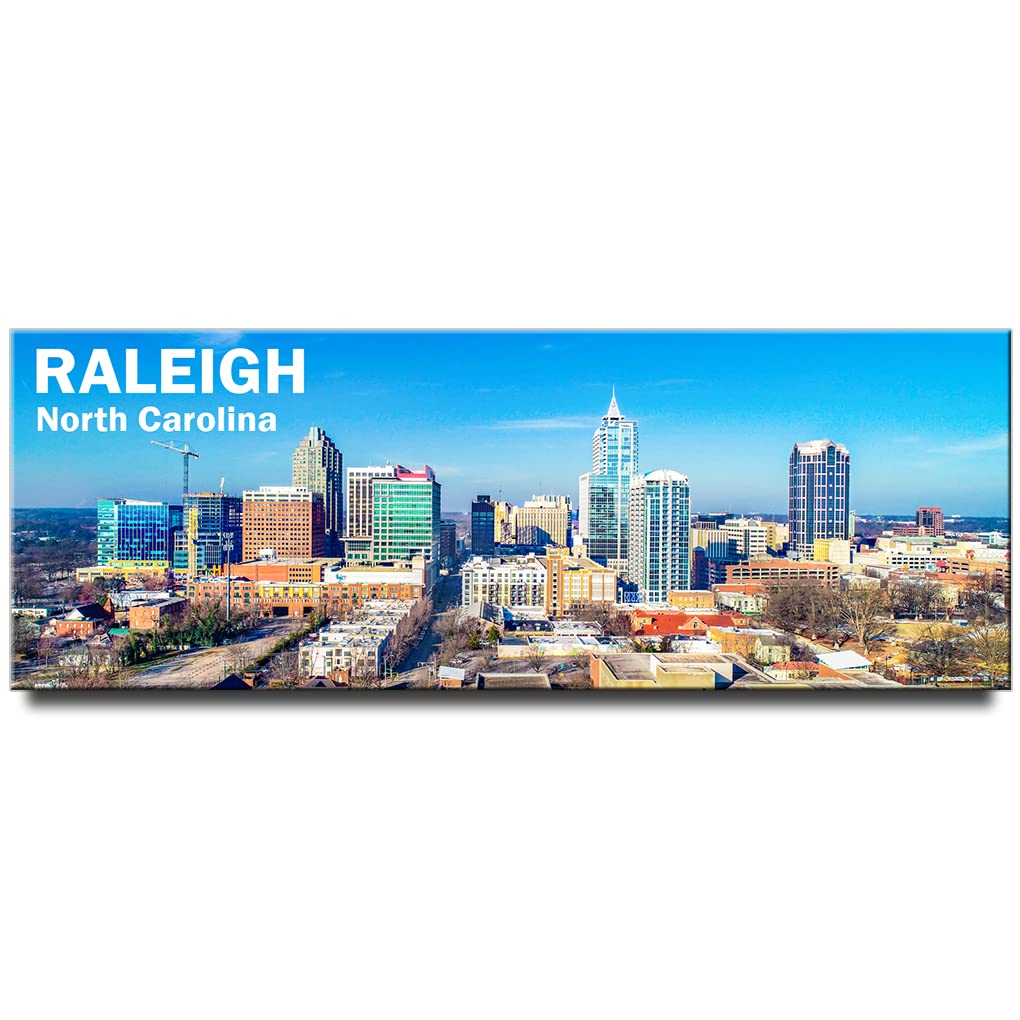 Raleigh Panoramic Fridge Magnet North Carolina Travel Souvenir