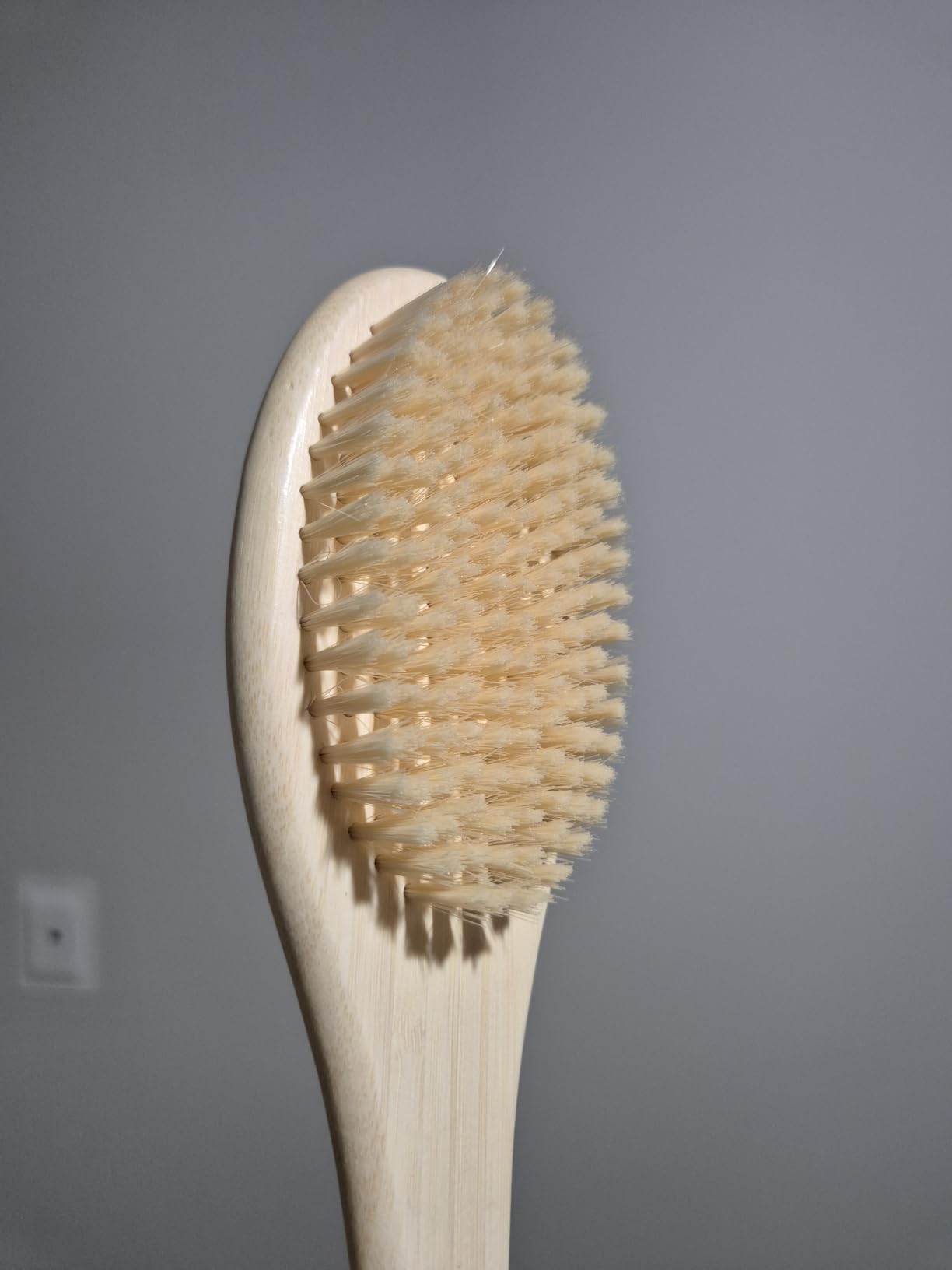 EcoTools Bath Bristle Brush, Bath Brush with Long Handle, Cleanse Back & Hard-to-Reach Areas, Eco Friendly Shower Brush for Exfoliating, Cruelty Free Nylon Bristles, Vegan, 1 Count
