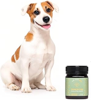 We Just Bee for Dogs – Manuka Honey Treat for Canine Wellness, Natural Immunity & Skin Support, Premium New Zealand Manuka, Healthy & Delicious Dog Treat (250g)