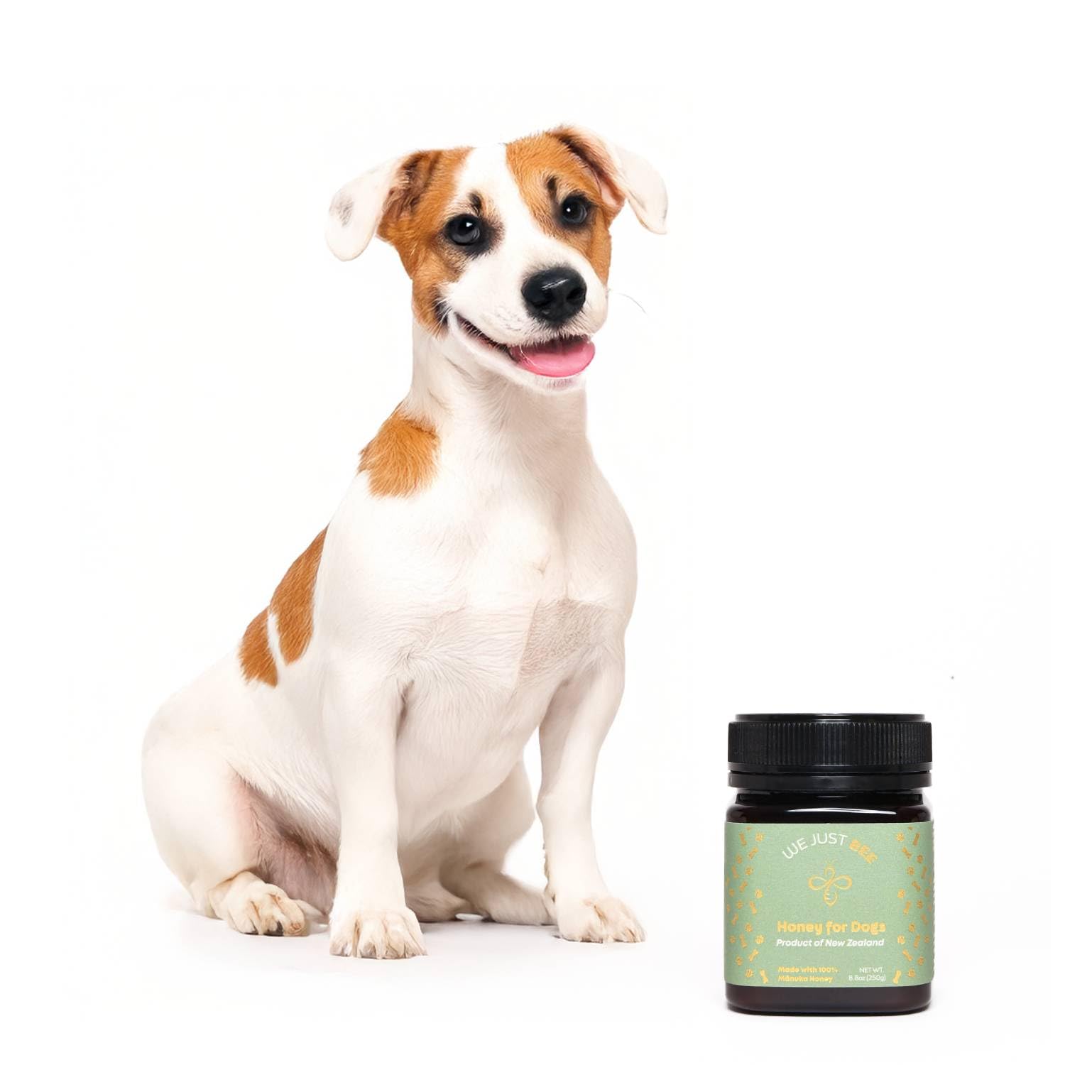 We Just Bee for Dogs – Manuka Honey Treat for Canine Wellness, Natural Immunity & Skin Support, Premium New Zealand Manuka, Healthy & Delicious Dog Treat (250g)