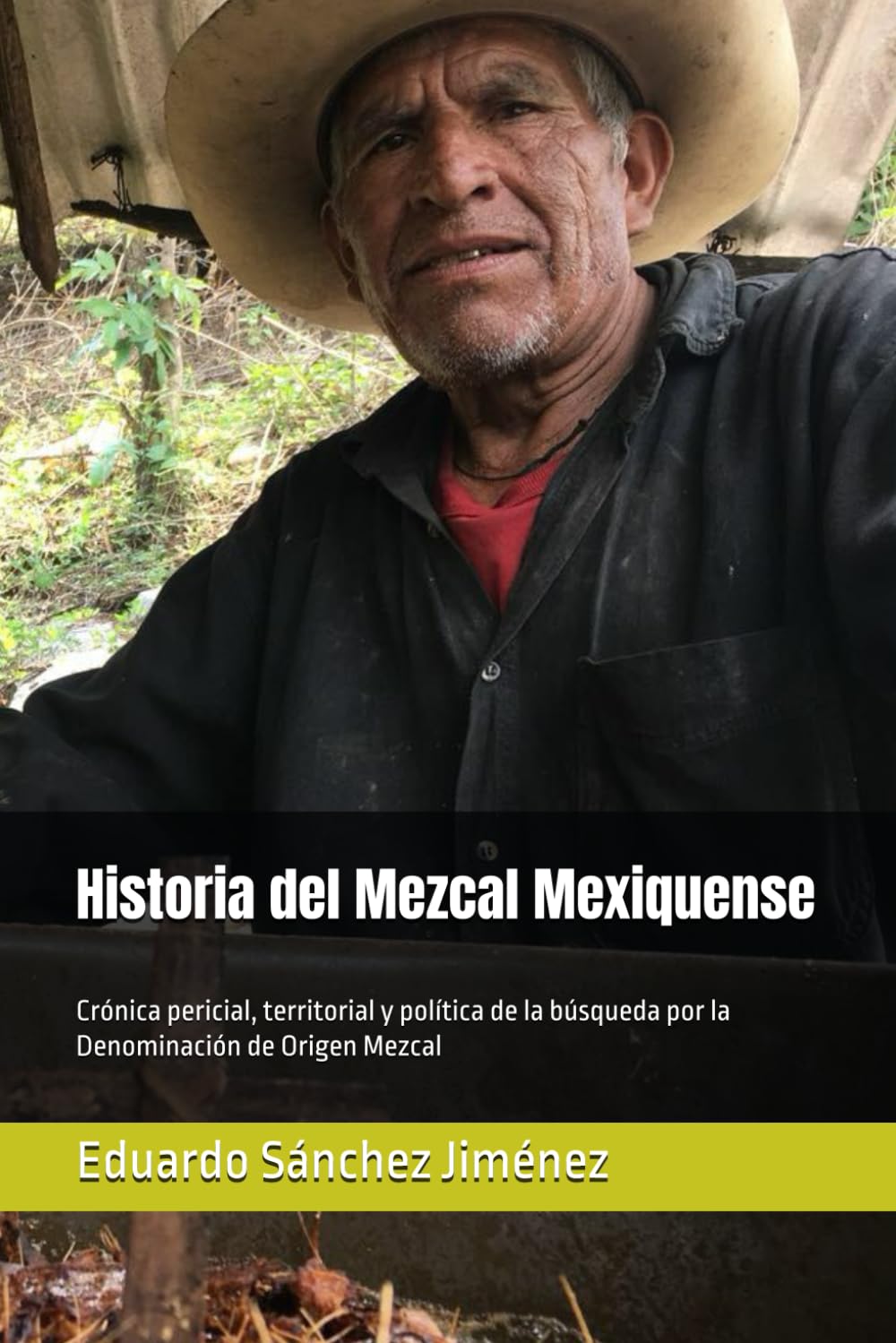 Historia del Mezcal Mexiquense: Crónica pericial, territorial y política de la búsqueda por la Denominación de Origen Mezcal