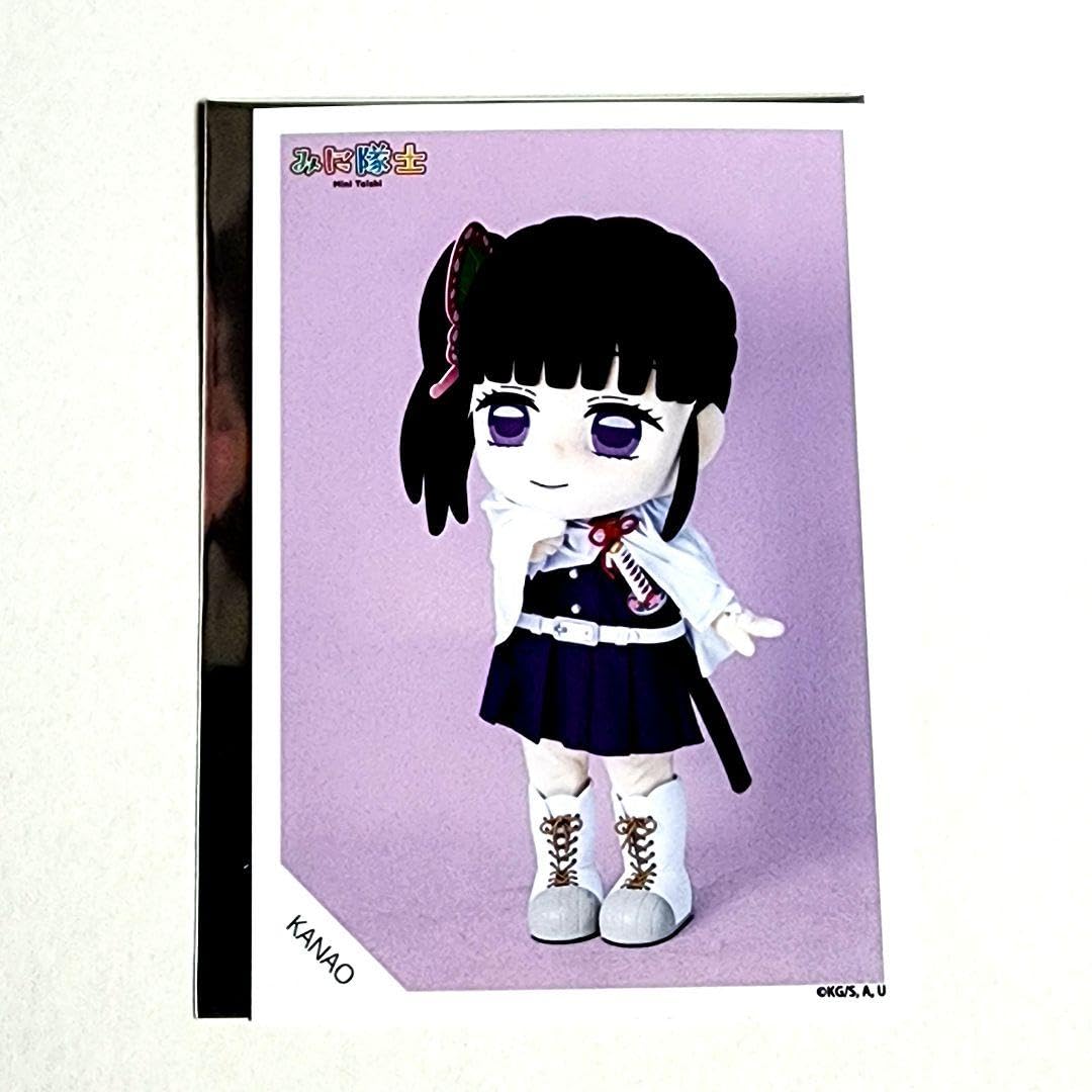 Amazon.co.jp: 鬼 滅 みに隊士 栗花落カナヲ 不死川玄弥 : おもちゃ