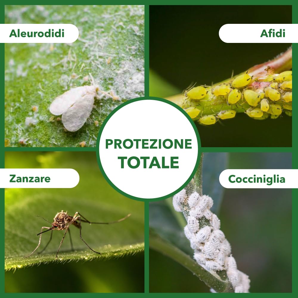 Olio di Neem Concentrato Biologico Insetticida Naturale 500 ml Spray