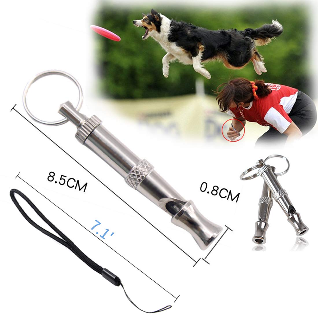 Amazon | 犬笛 超音波 犬 猫 訓練 トレーニング グッズ ホイッスル