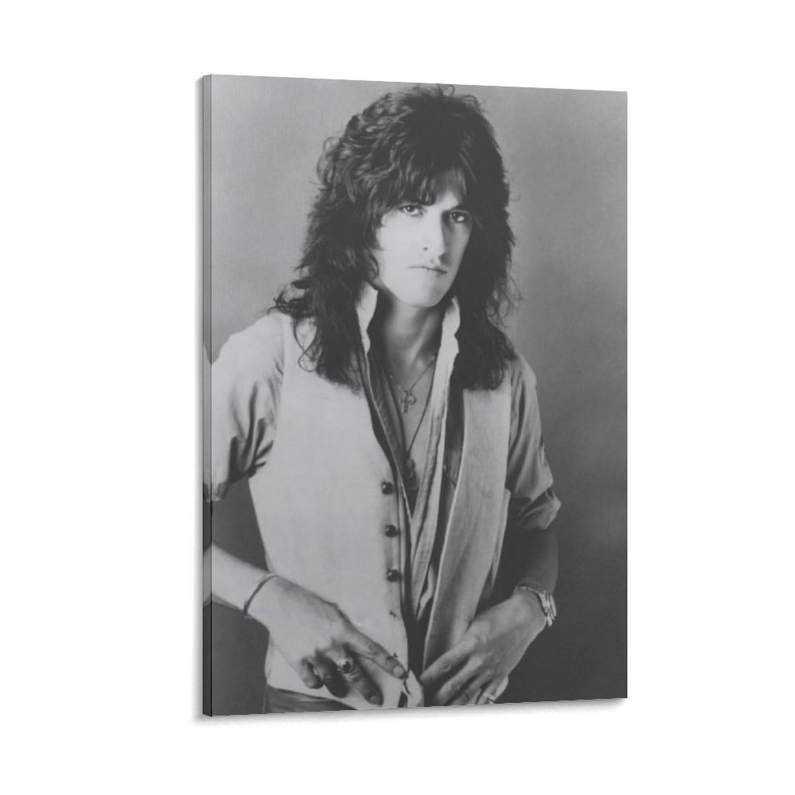 FCOIN Joe Perry Canvas Poster Poster Painting Canvas Wall Art Living Room Posters Painting 16x24inch(40x60cm)