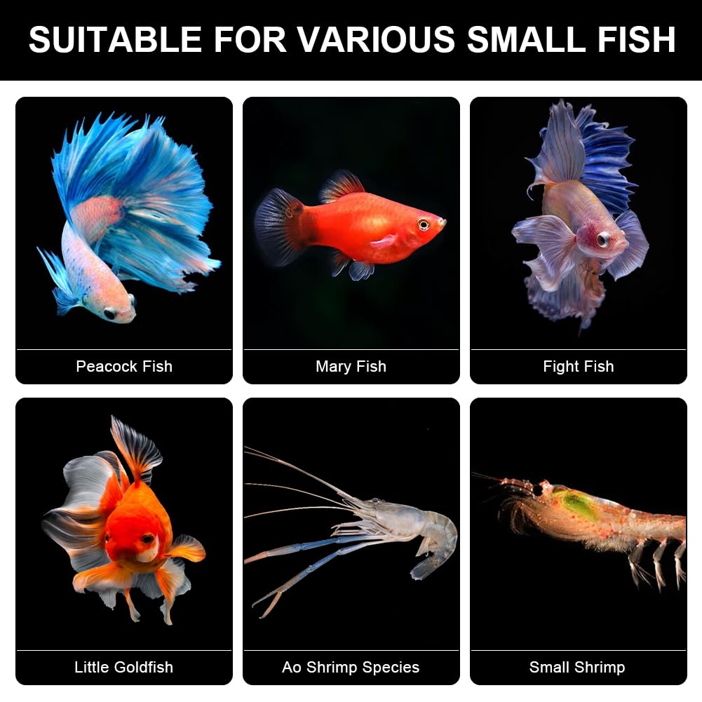 Kweken Aquariumvissen✔️Producten voor het kweken van aquariumvissen