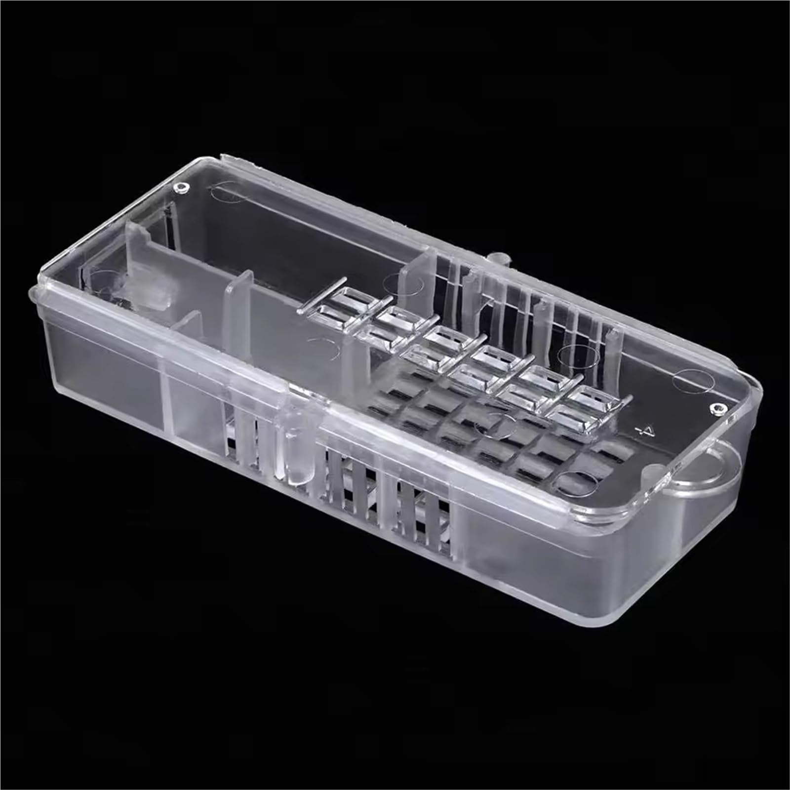10/50/100 pz Trasparente Bee King Cage Apicoltore Strumento Apicoltura Queen Strumenti for api Attrezzature per apicoltura | 100pcs