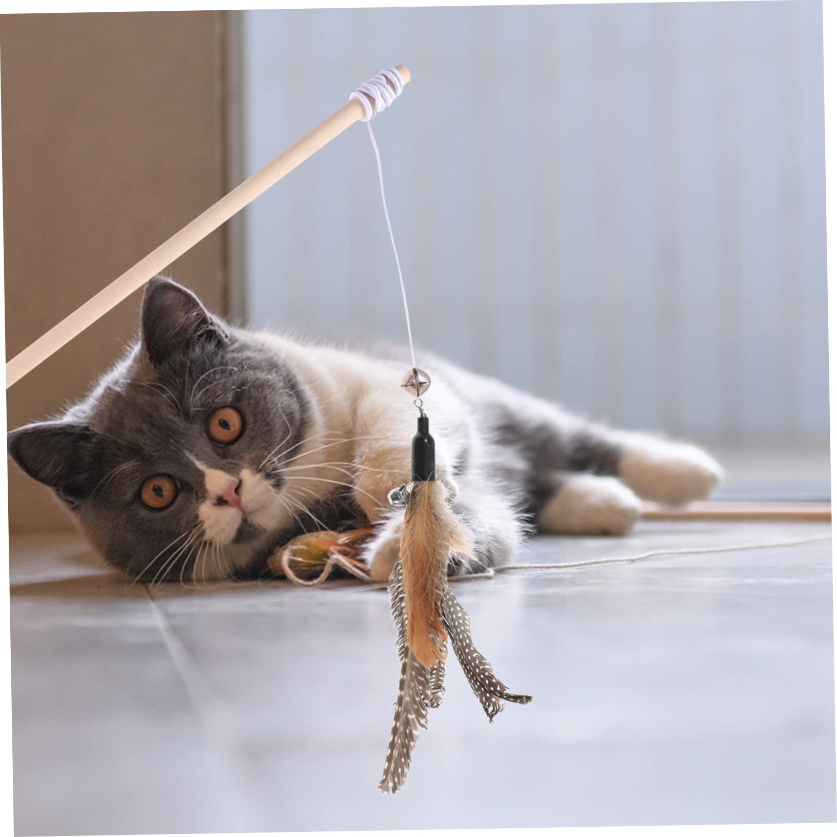 Mipcase 40pièces Recharges De Jouets à Plumes pour Chats Kit De Teasers Interactifs pour Kittens Améliorez Interactivité Et Stimulez Le Jeu
