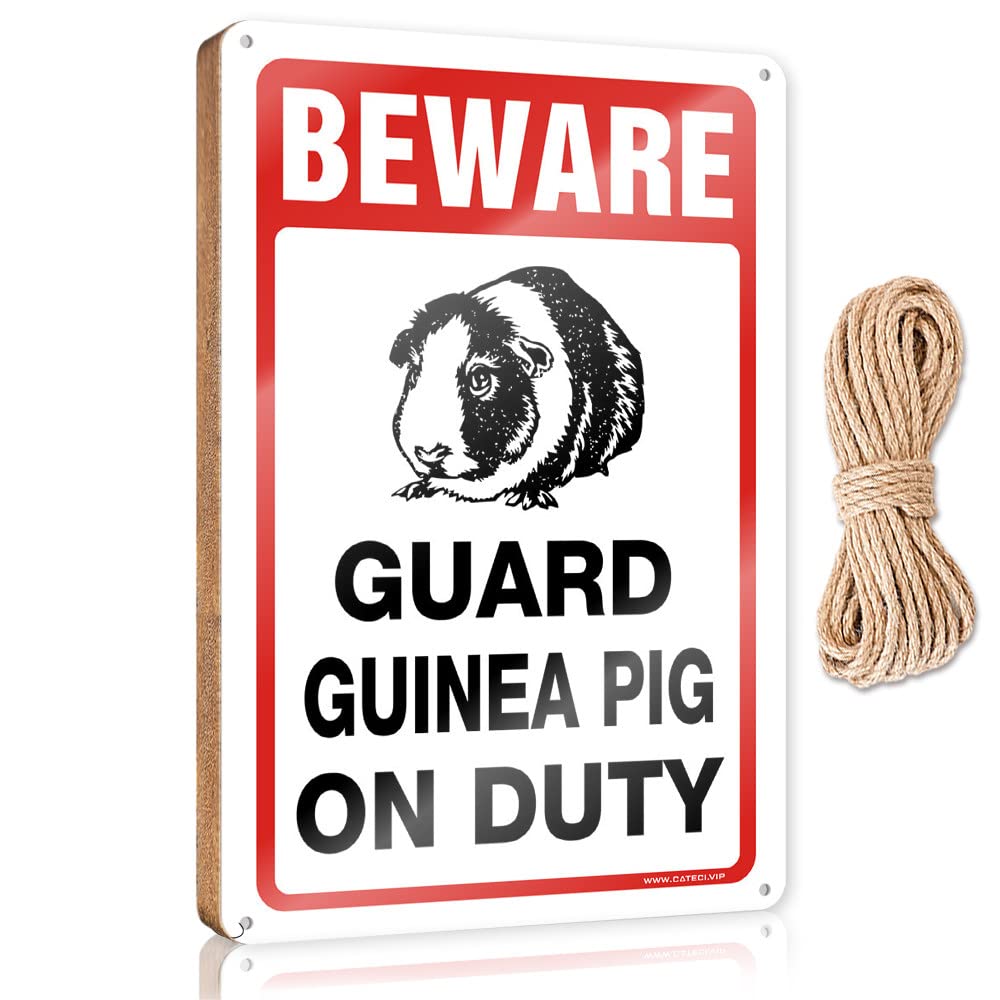DTHA Front Porch Signs Beware! Guard Guinea Pig On Duty Wooden Sign Work From Home Door Sign Farmhouse Hanging Sign(20X30CM)