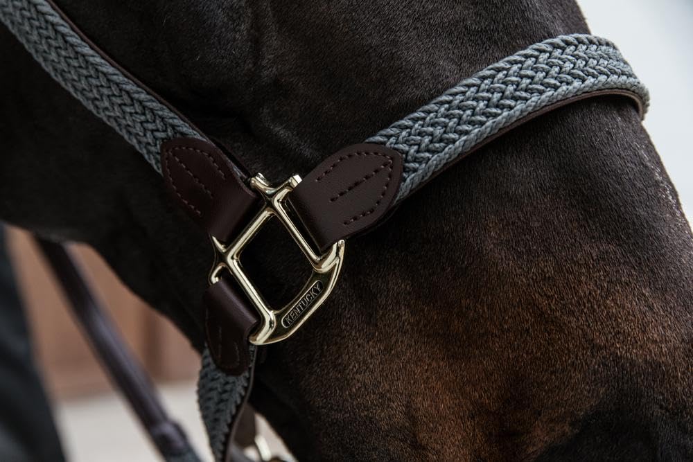 Cabezada para Caballos Nylon Trenzada Kentucky