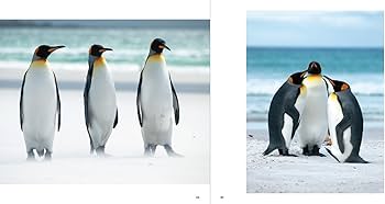 ペンギン出品② 2025年最新】ペンギン出品の人気アイテム - メルカリ