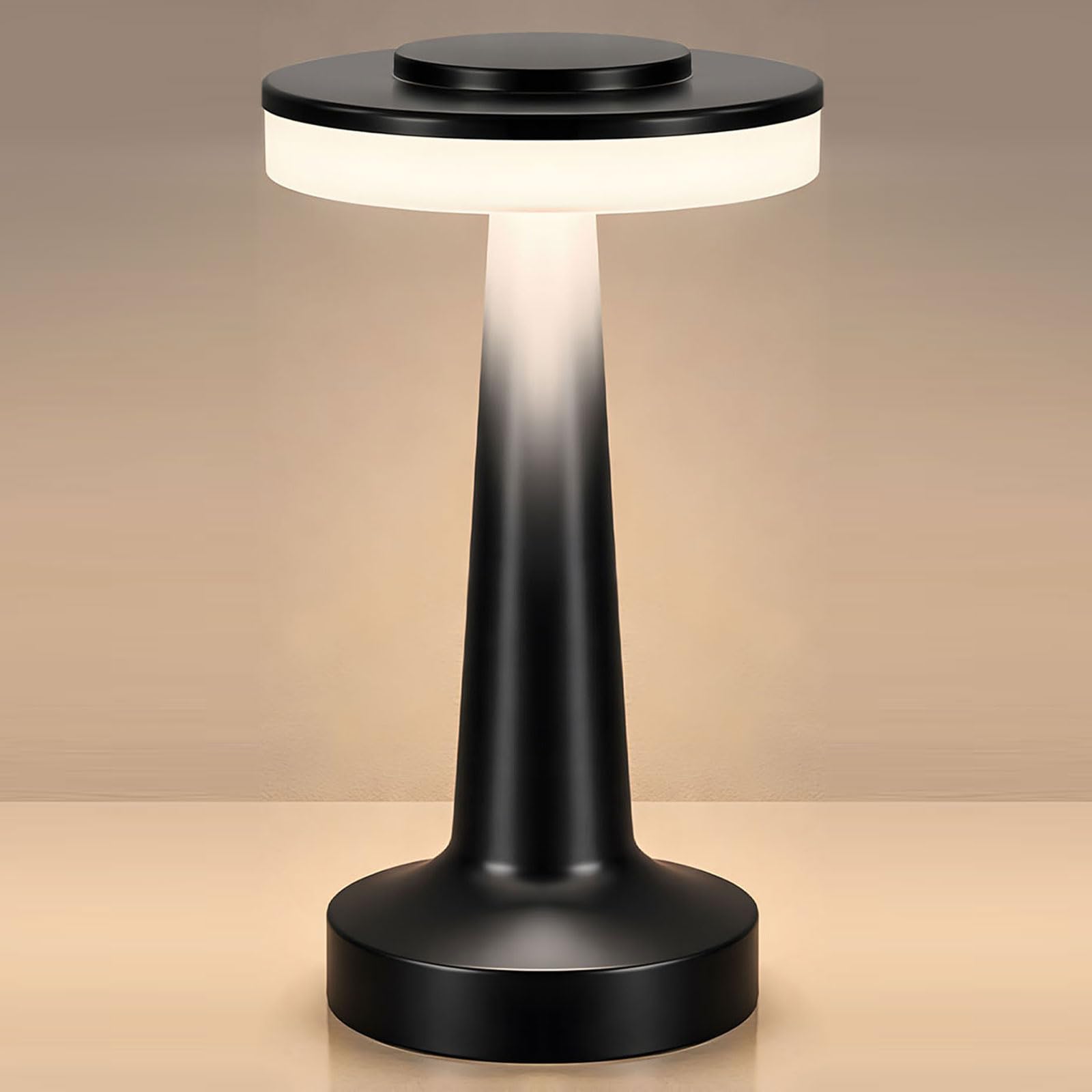 Riakrum 1 Pcs LED Cordless Table Lamp Bulk Rechargeable,Black