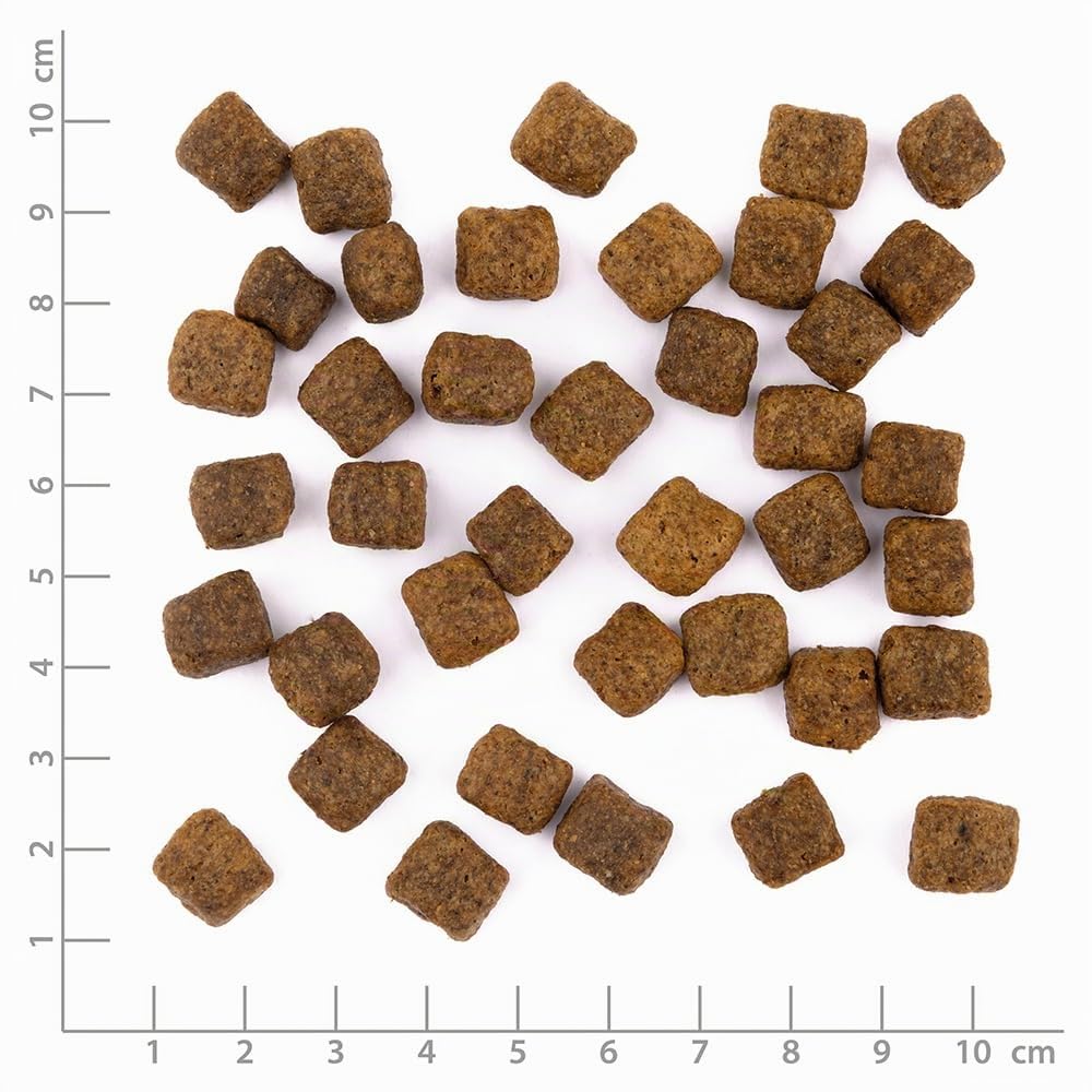 Wildes Land Pawprint - Insect - 10 kg - Hermetia Larve mit Kartoffeln, Erbsen und Wildkräutern