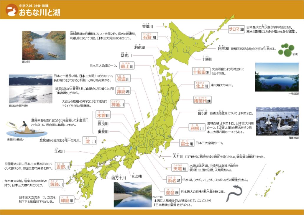 Gakupo お風呂でおぼえる学習ポスター 中学入試 社会地理(暗記シート付) 防水 都道府県名 中学受験 白地図 社会地理
