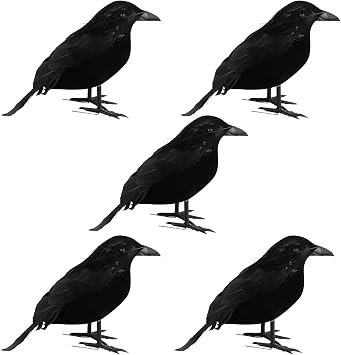 5 Pcs Halloween Black Crows, Re alistic Feathered Crows, Halloween Fake Birds Ravens for Outdoor Indoor Party Props Decoration#2