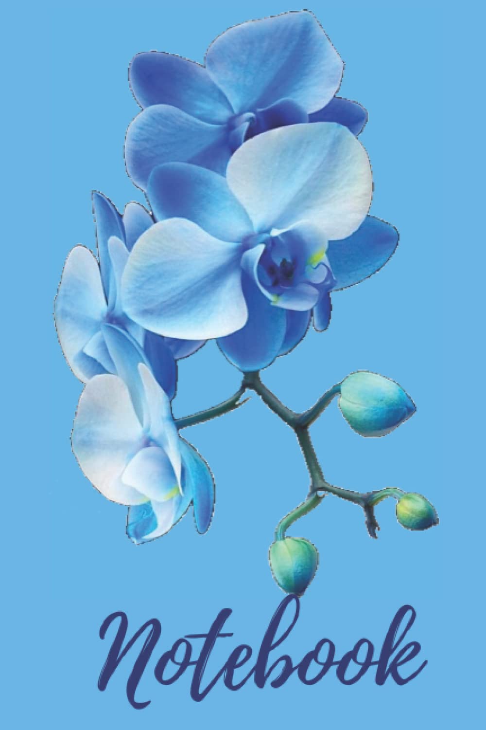 Blue Orchid Notebook: A beautiful notebook to jot down your thoughts or ideas.