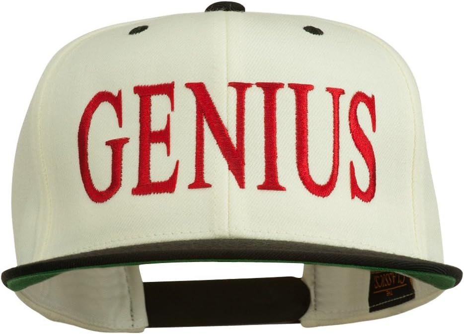 Genius Embroidered Two Toned Snapback Cap
