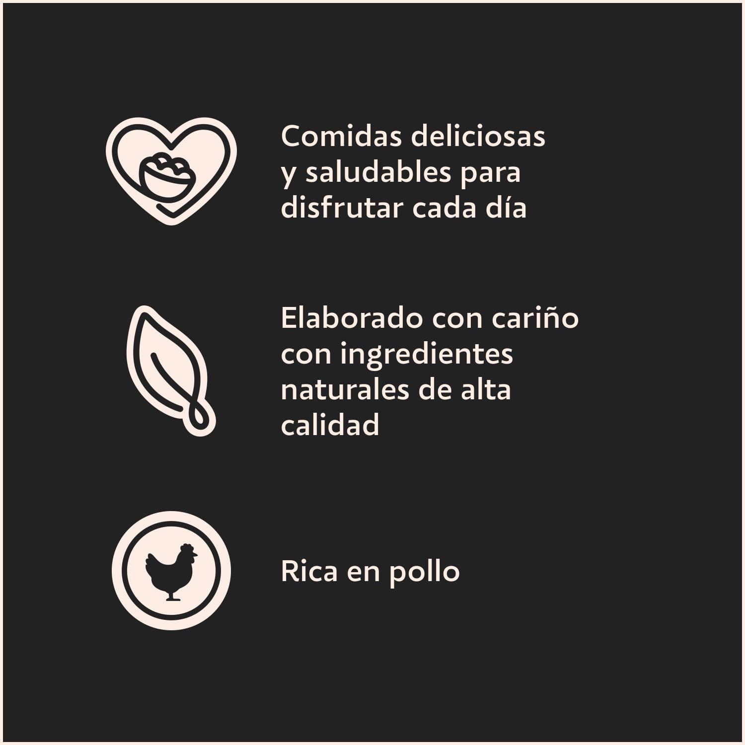César Comida Húmeda para Perros en Paté, Sabor Pollo (Pack de 14 Tarrinas x 150g)