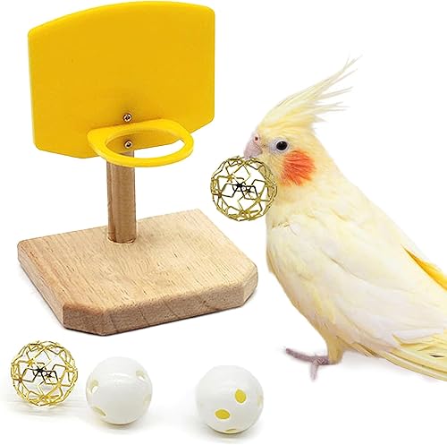 QBLEEV Juguete de baloncesto para pájaros, actividad de loros y juguetes de búsqueda de comida, gimnasio de entrenamiento de aves
