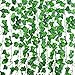Leenou Efeu Künstlich, 12 Stück Girlande Efeu Efeugirlande Künstlich Hängend 83 Zoll/210 cm Scindapsus Blätter für Wanddekoration Künstliches Efeu Hochzeit für Büro, Küche, Garten, Hochzeit Party