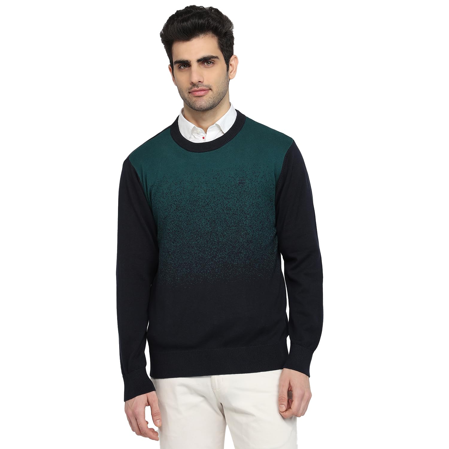 colorplus Men Regular Fit Jacquard Pattern Pure Cotton Full Sleeve Round Neck Casual Sweater Dark Green-picture-25