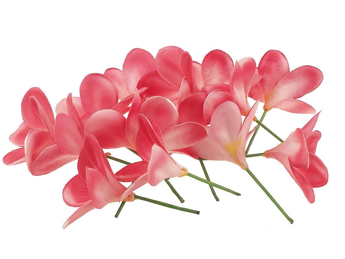 Winterworm 10 Stems Real Touch Artificial Hawaiian Lei Faux Ivory Plumeria Latex Flower Bouquet for Bride Wedding Party Festival Decoration Bouquet (Red) - Image 2