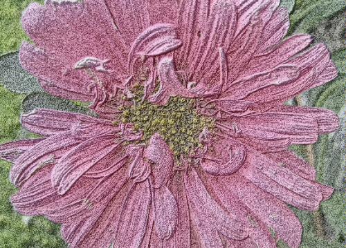 The best photograph edit software I have ever used.