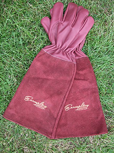 Rose Pruning Gloves for Men and Women. Thorn Proof Goatskin Leather Gardening Gloves with Long Cowhide Gauntlet to Protect Your Arms Until The Elbow (Small, Maroon)