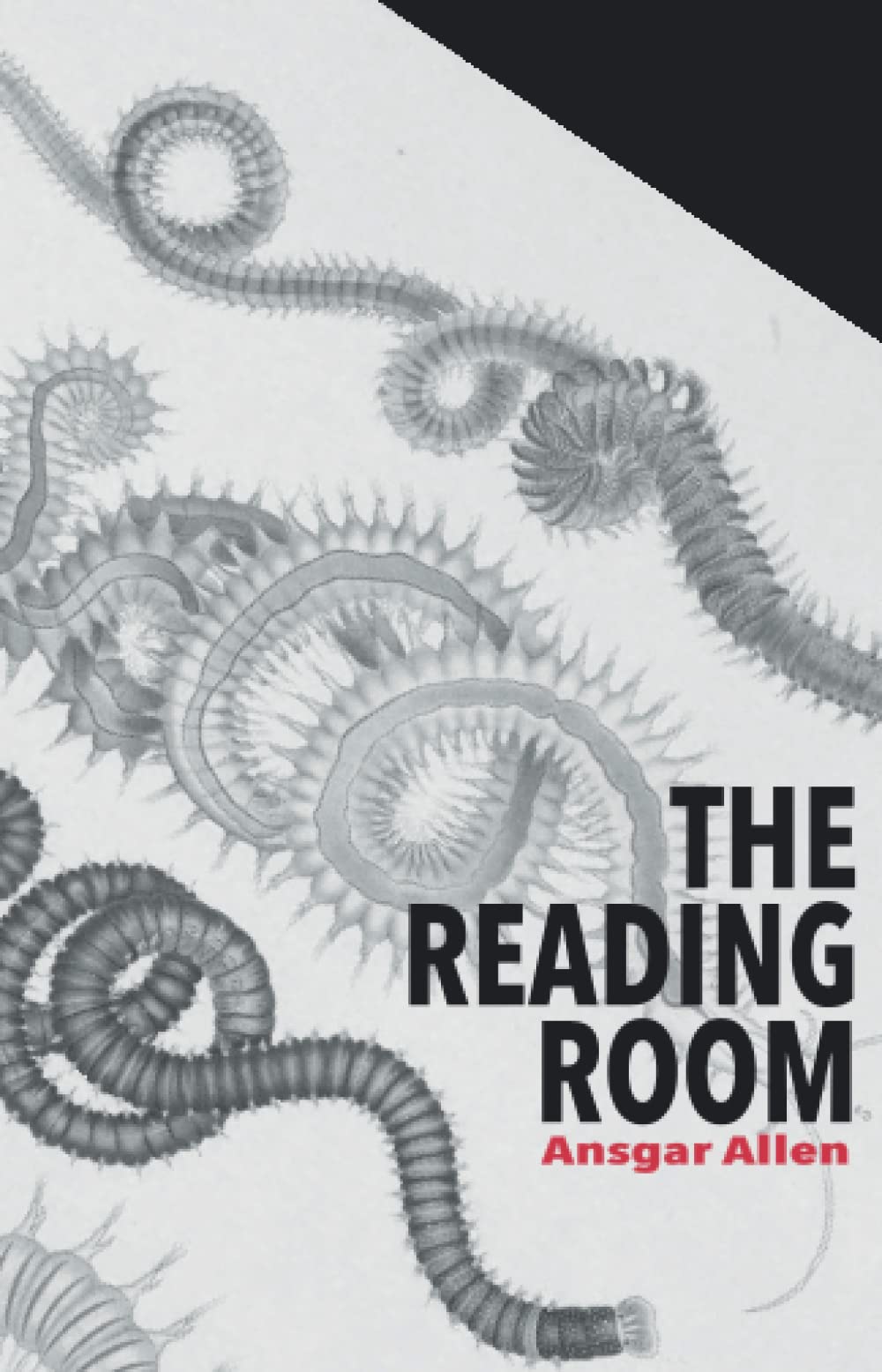 The Reading Room: A novella in three parts