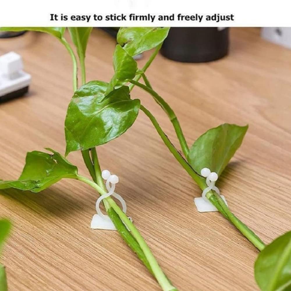 Plant Climbing Clips - Support Your Vines! -2