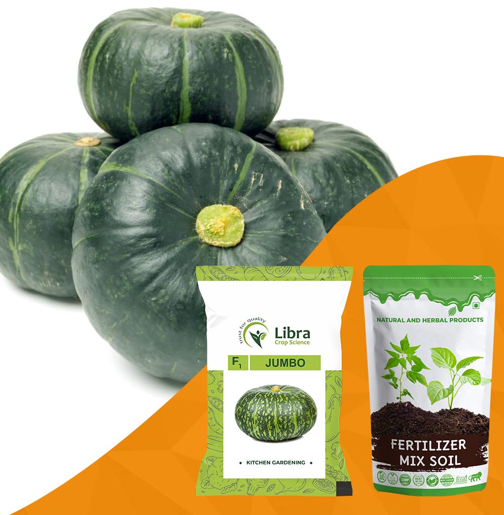 Green Pumpkin Seeds Hybrid | Home | Garden | Farming | Kitchen | Vegetable | Planting | Terrace | Balcony | Eating | Large Melon | Cucurbita Pepo | Kaddu Vegetables | Kumbalanga - 05 Gram : 56 Seed (B0B38ZRD6F) Amazon Price History, Amazon Price Tracker