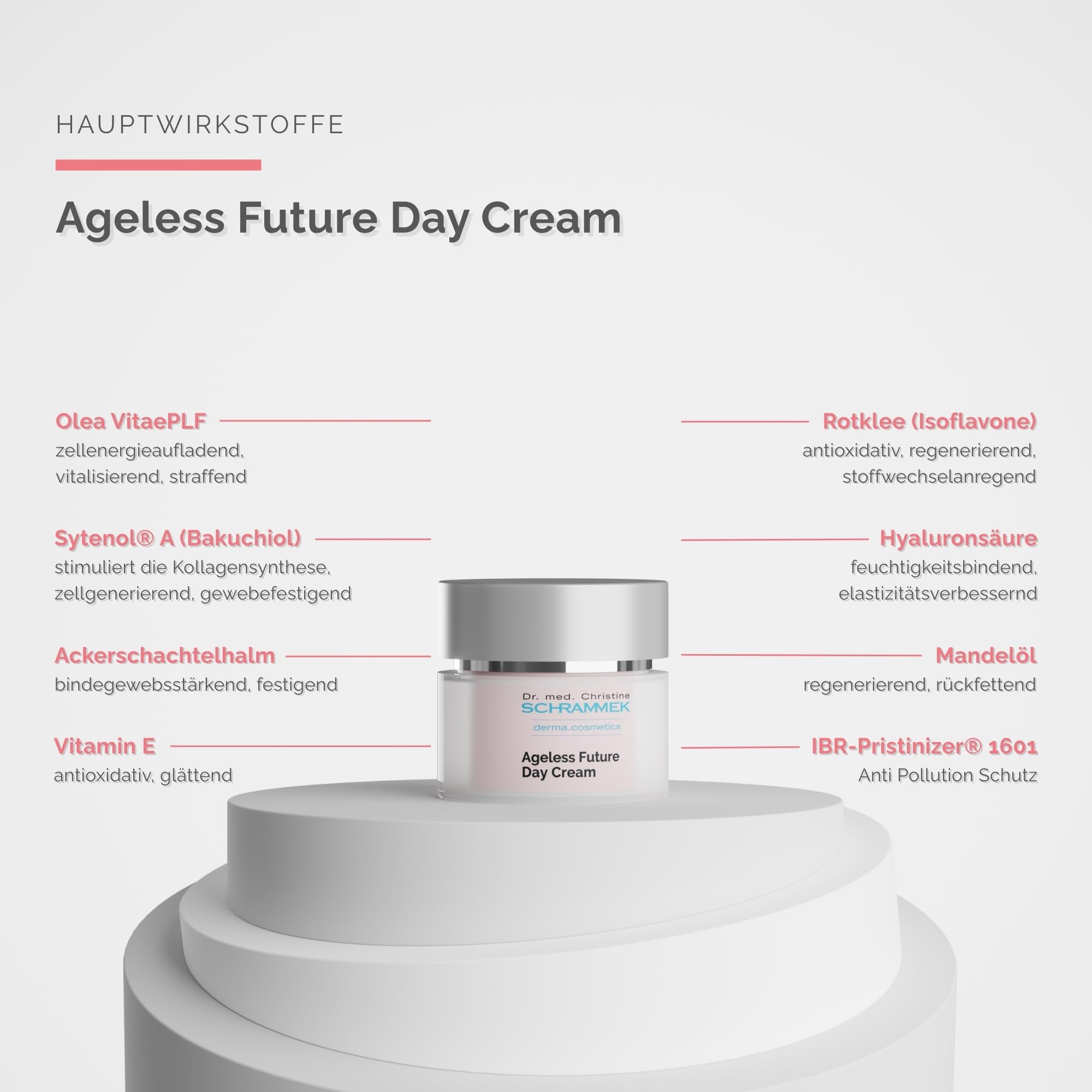 SCHRAMMEK Ageless Future Day Cream, 1 x 50 ml