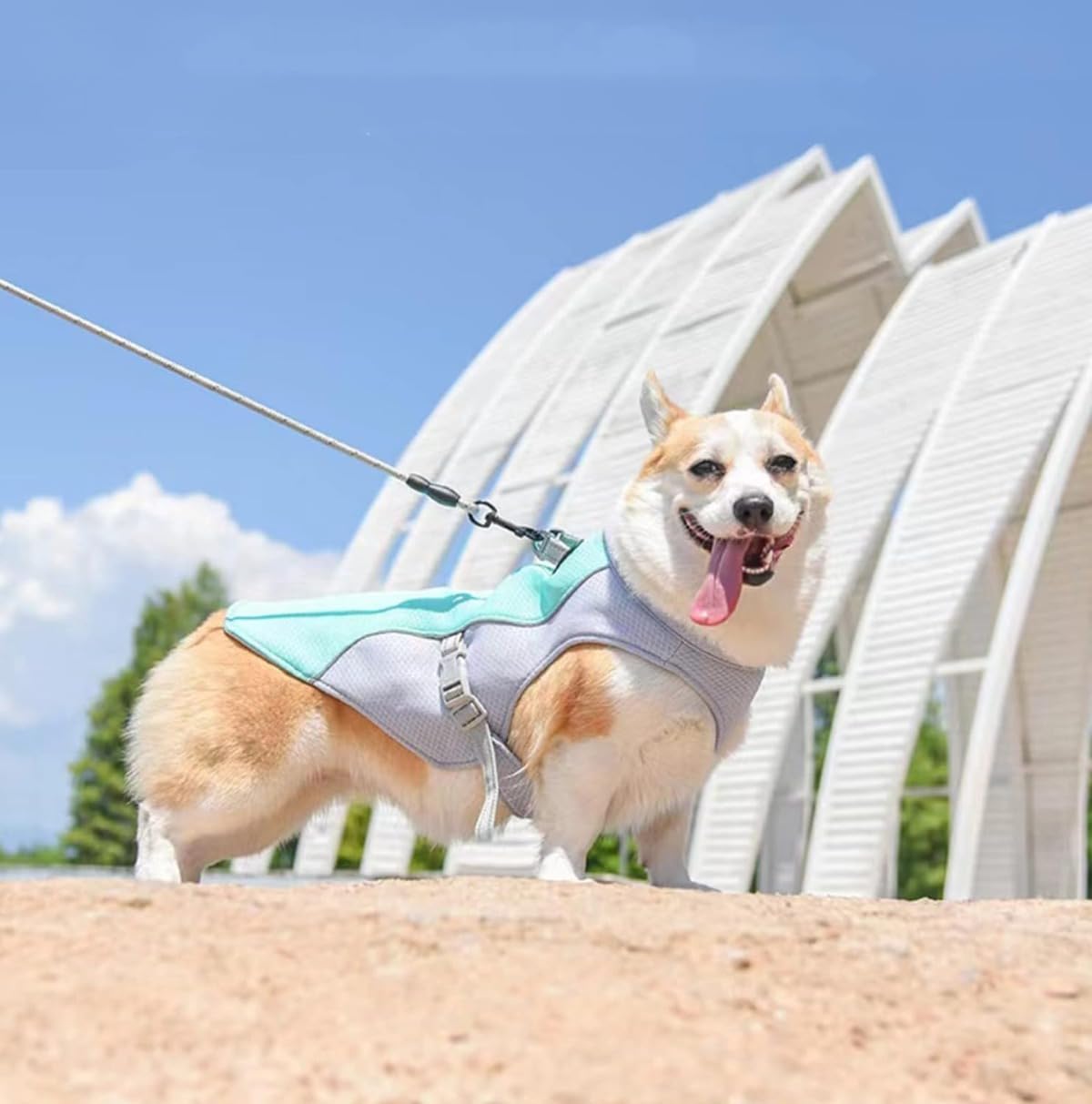 犬用クールベスト 冷感 冷却ベスト ひんやりベスト 犬用夏服 冷却 通気性 熱中症対策 日焼き防ぐ クールベスト 犬 冷感犬服 ペッ