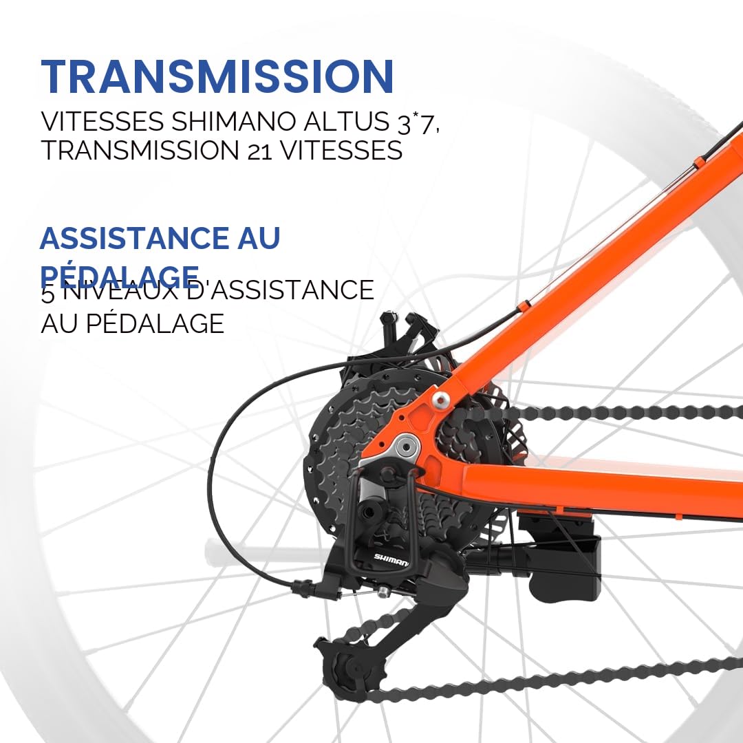 EMotorad EMX+ | Vélo électrique Tout-Terrain pour Adultes | pneus 27,5 x 2,1" | Moteur 36 V 250 W | Batterie 13 Ah Amovible | Double Suspension | Freins Hydrauliques | Écran Couleur C8