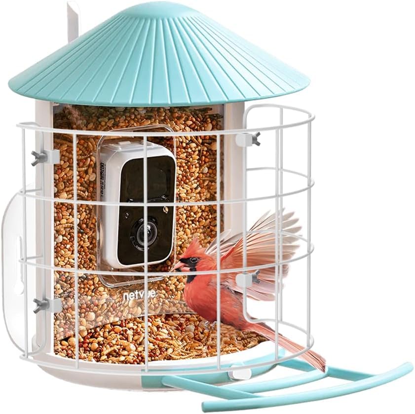 Birdfy Shield Keep Out Birds Predators Must-Have Feeder Accessories - Only Work with NETVUE Birdfy Bird Feeder 1
