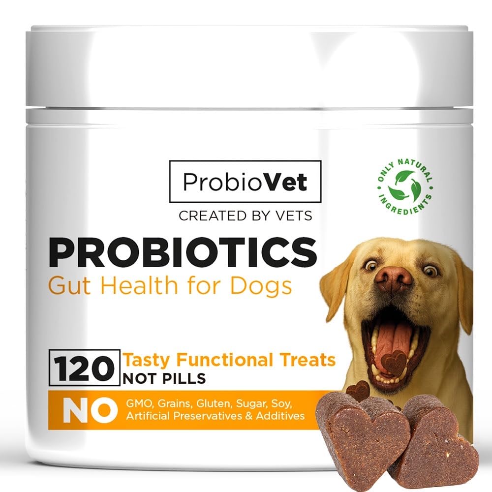Probiótico Perro - 120 Bocados Flora Intestinal e Inmunidad - Prebióticos (Inulina de Achicoria) - Digestión Sensible, Anti-Diarrea & Gas - Tránsito y Vitalidad - Complemento natural