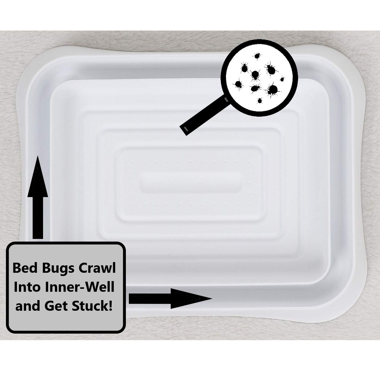 Buy Zulu Supply XL Bed Bug Interceptors, Traps, 4 Pack, White, Extra