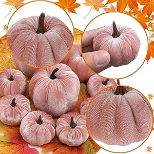 9Pcs Pink Faux Assorted Velvet Pumpkins Decorations Artificial Fabric Pumpkin Foam Fall Wedding Halloween Home Decor Thanksgiving Farmhouse 9Pcs Pink Faux Assorted Velvet Pumpkins Decorations Artificial Fabric Pumpkin Foam Fall Wedding Halloween Home Decor Thanksgiving Farmhouse