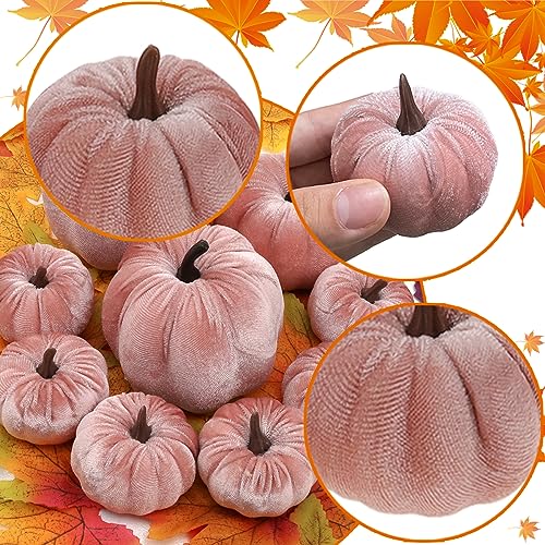 9Pcs-Pink-Faux-Assorted-Velvet-Pumpkins-Decorations-Artificial-Fabric-Pumpkin-Foam-Fall-Wedding-Halloween-Home-Decor-Thanksgiving-Farmhouse 9Pcs Pink Faux Assorted Velvet Pumpkins Decorations Artificial Fabric Pumpkin Foam Fall Wedding Halloween Home Decor Thanksgiving Farmhouse