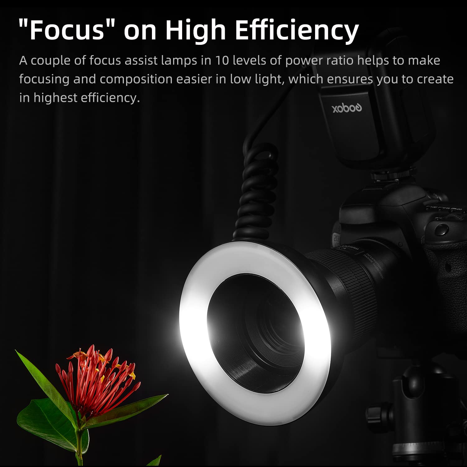 GODOX MF-R76 Flash Anello Macro 76 Ws 7,2 V / 2600 mAh Batteria Ricaricabile 660 Flash Piena Potenza 0,1-1,5 s Tempo Riciclaggio, Adatto per Fotocamere Canon Nikon Sony Fuji Olympus Panasonic Pentax