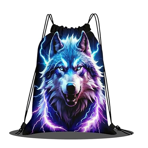 [Wnicek] ̑ w v[obO l Xm[iCgEt  ɗD iCobO ̑  ܂肽ݎ[ ubN 