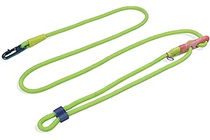 ZeeDog Hands Free Leash: Revolutionizing Dog Walks